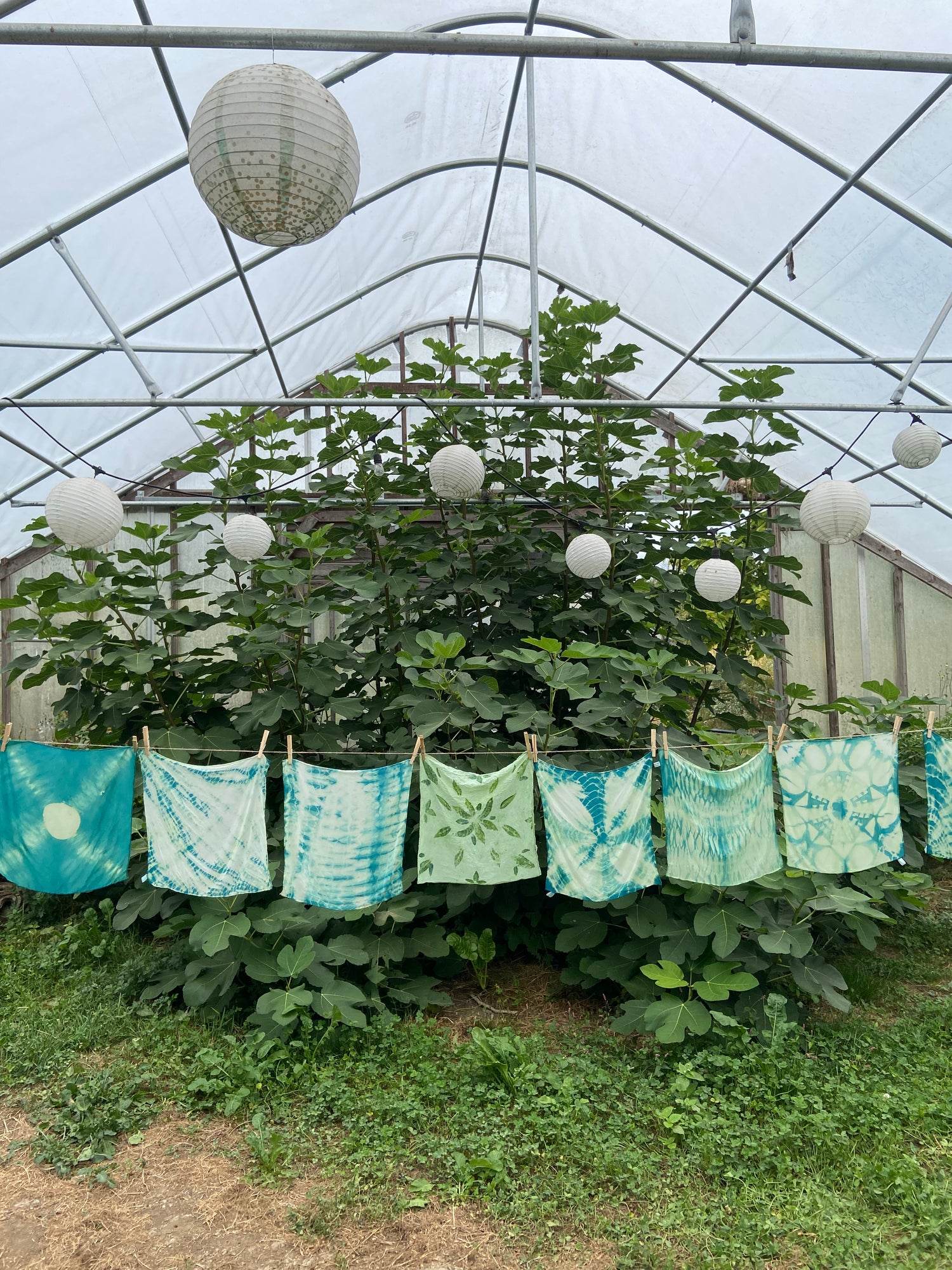 Bunting with blue and green patterns hanging on a clothesline in a greenhouse.